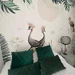Casas De Lola