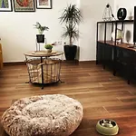 Appartement Casas De Lola