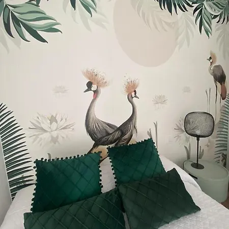 Casas De Lola
