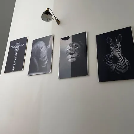 Apartmán Casas De Lola *