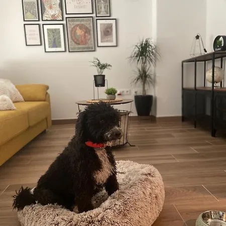 Casas De Lola *