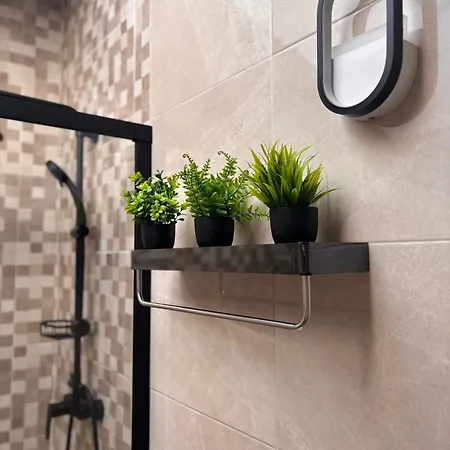Casas De Lola