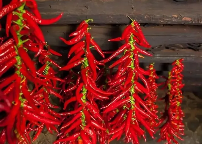 Casas De Lola * 칸델레다